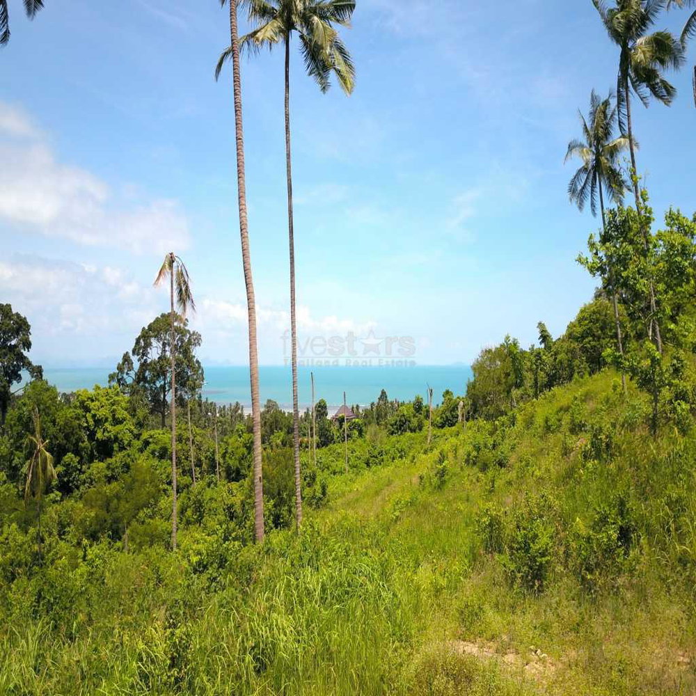 Great plot with sea view in Bang Por 2281656151