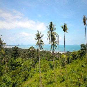 Great plot with sea view in Bang Por 2281656151