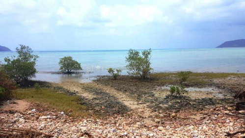 3,460 sq.m beach front plot in Laem Sor 4130585898