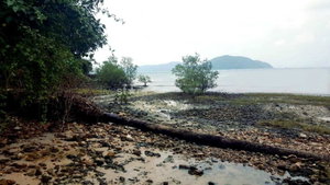 3,460 sq.m beach front plot in Laem Sor 4130585898