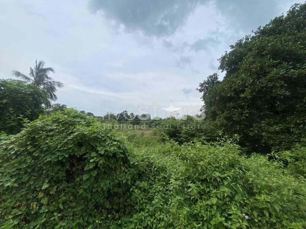 Land for sale Lipa noi 1.4 hectares Koh Samui 1438037343