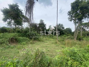 Land for sale Lipa noi 1.4 hectares Koh Samui 1438037343