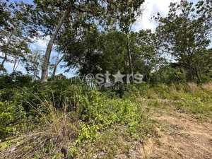 Seaview land For sale in Bang Makham (1 rai) Koh Samui 2737034131