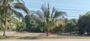 Flat land for sale in Meanam, Koh Samui 664469385