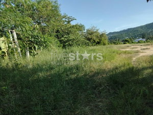 Flat land for sale in Chaweng (6 rai) 2957518337