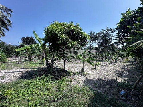 Flat land for sale in meanam (1 rai) 2840794944