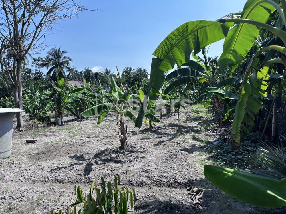Flat land for sale in meanam (1 rai) 2840794944