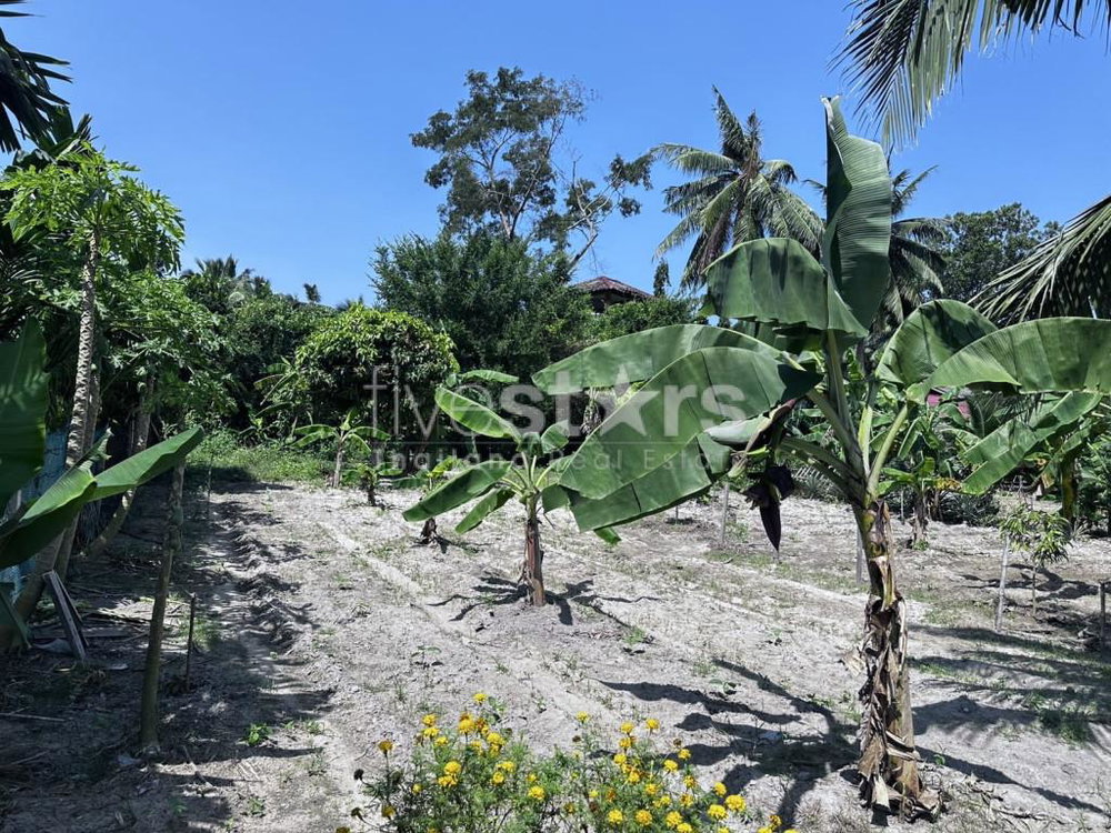 Flat land for sale in meanam (1 rai) 2840794944