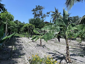 Flat land for sale in meanam (1 rai) 2840794944