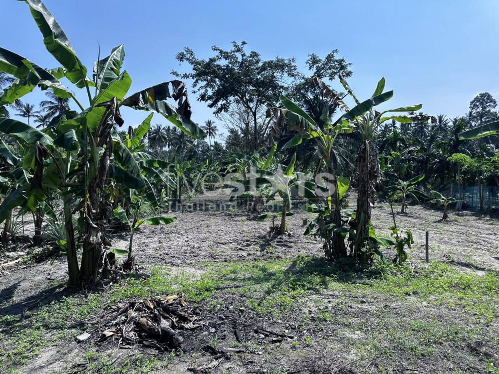 Flat land for sale in meanam (1 rai) 2840794944