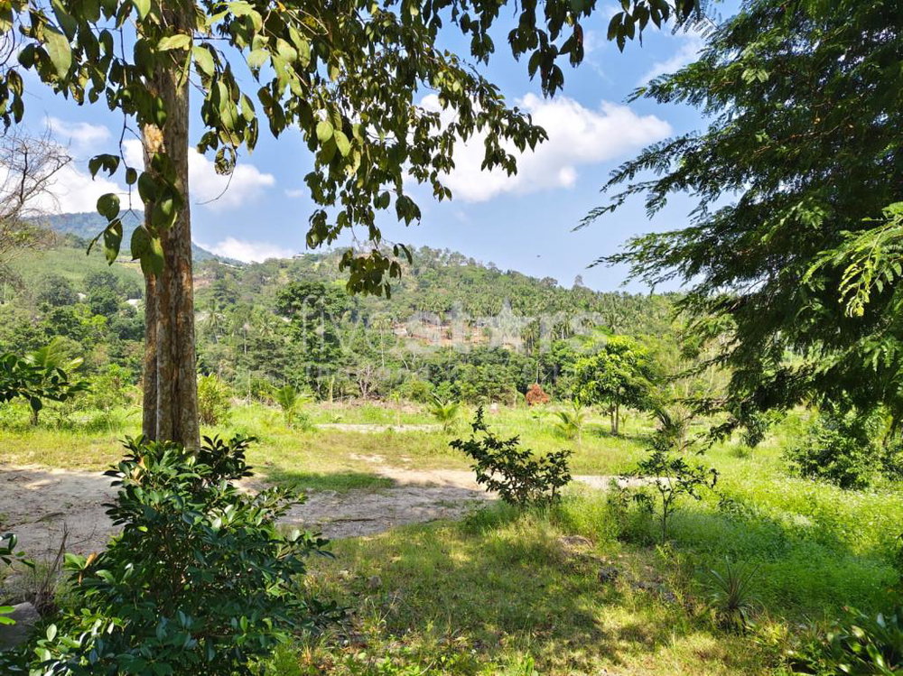 Land with Mountain view for sale in Meanam (3rai) 3496482761
