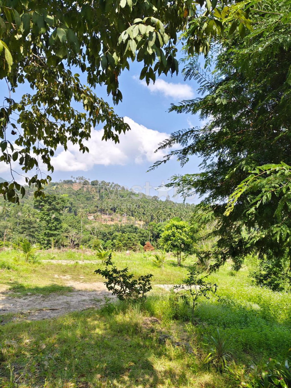 Land with Mountain view for sale in Meanam (3rai) 3496482761