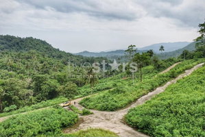 Seaview land For sale in Talingam( 7 Rai ) 2430065446