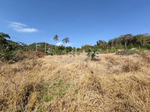Flat Land for sale in Nameang(9 rai) 2991375566