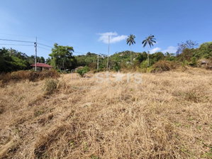 Flat Land for sale in Nameang(9 rai) 2991375566