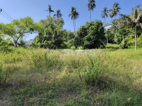 Flat Land for sale in Nameang(4 rai) 3310089304