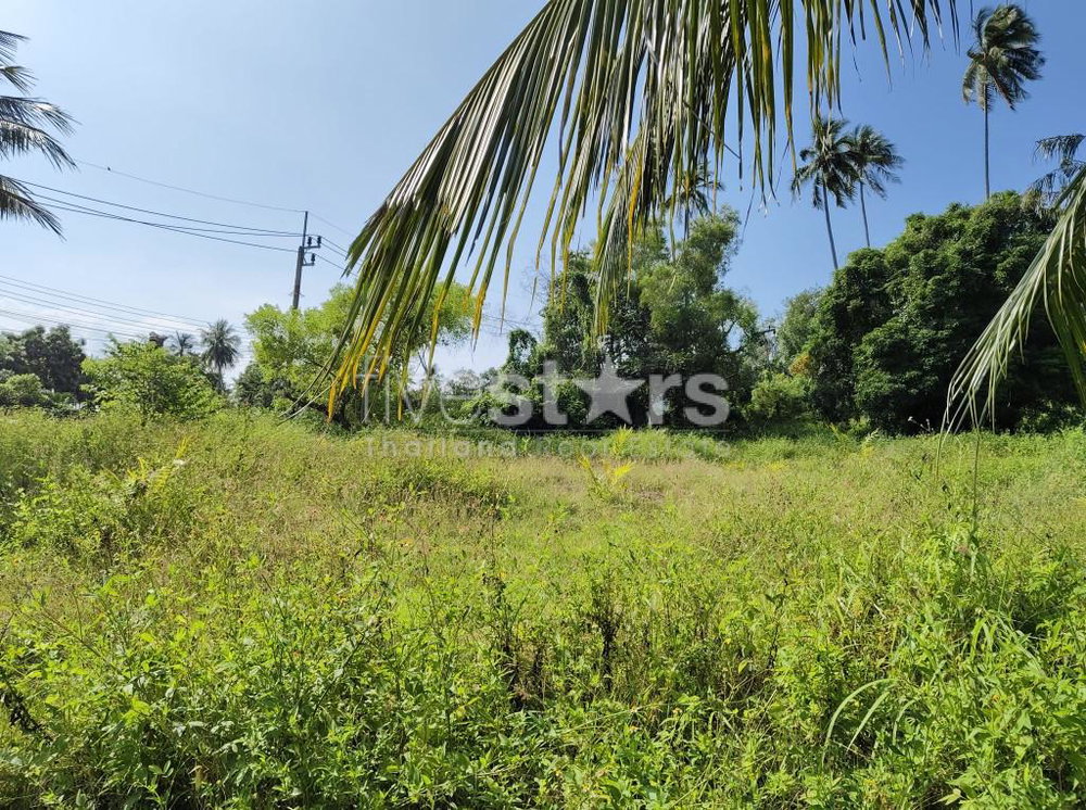 Flat Land for sale in Nameang(4 rai) 3310089304