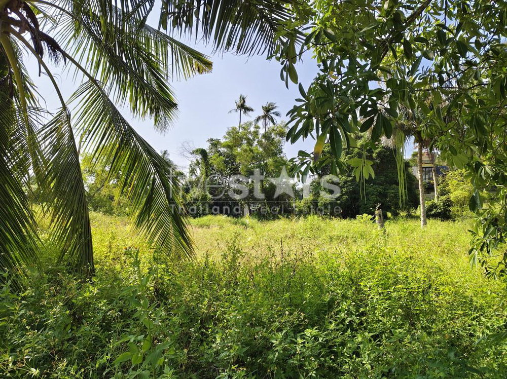Flat Land for sale in Nameang(4 rai) 3310089304