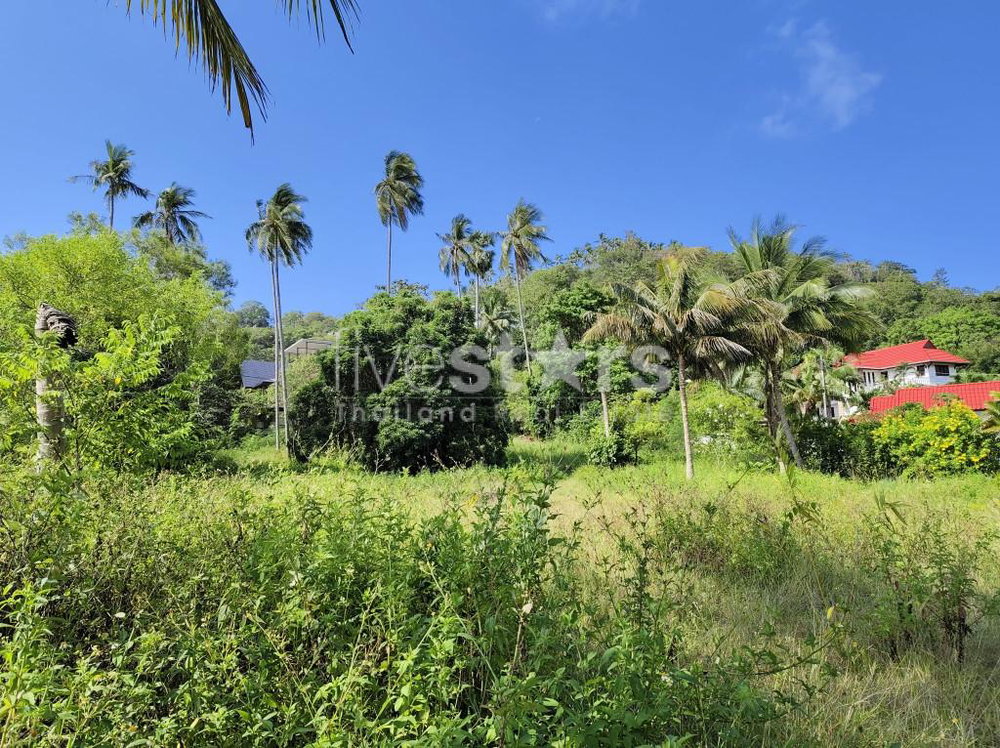 Flat Land for sale in Nameang(4 rai) 3310089304