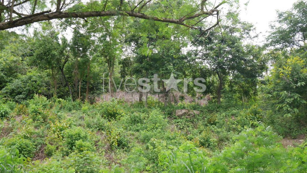 1,200 sqm seaview land For sale in Meanam 3476762763