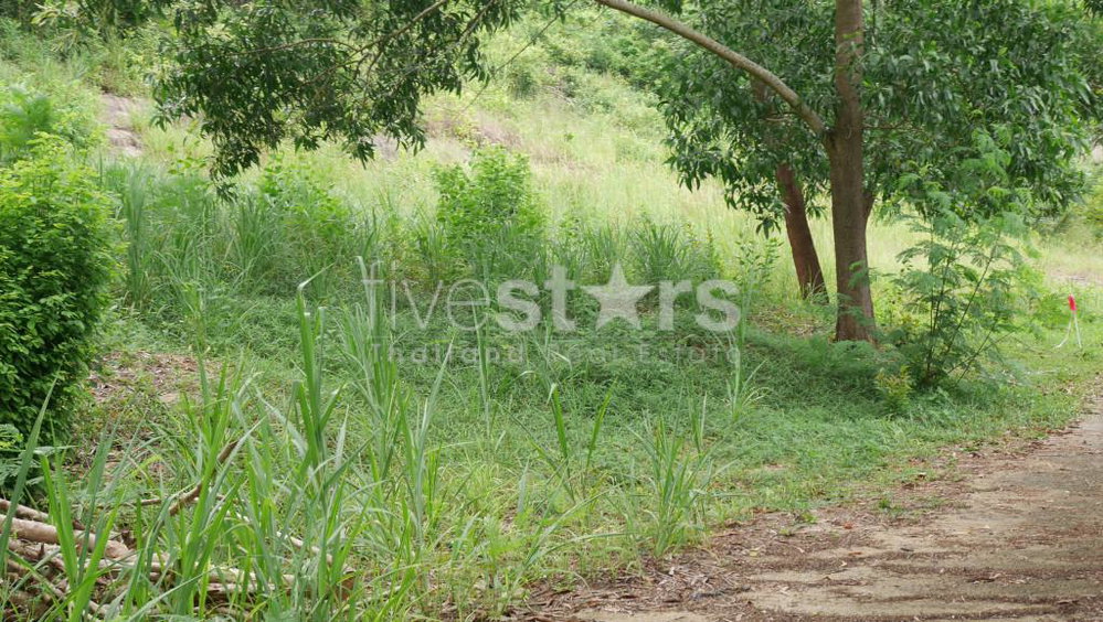 1,200 sqm seaview land For sale in Meanam 3476762763
