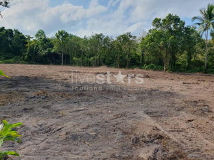 Flat land for sale in Bang kao(2,900 sqm) 2083762460