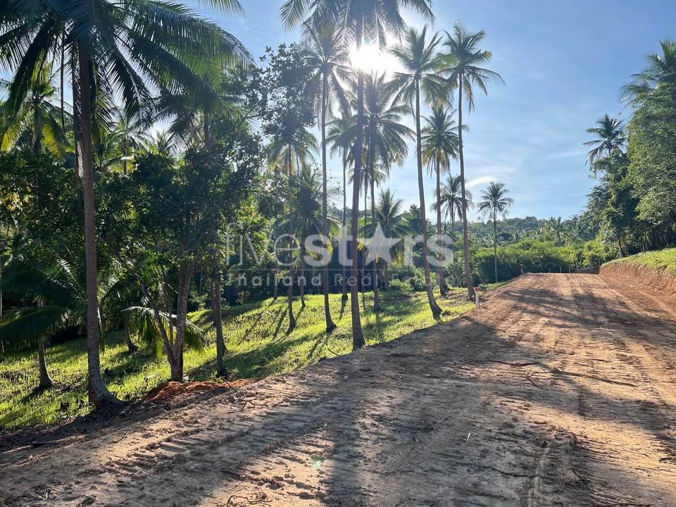Land for sale Bangpor soi.1 (1,600 sqm) 700 M. from the beach 1675954848