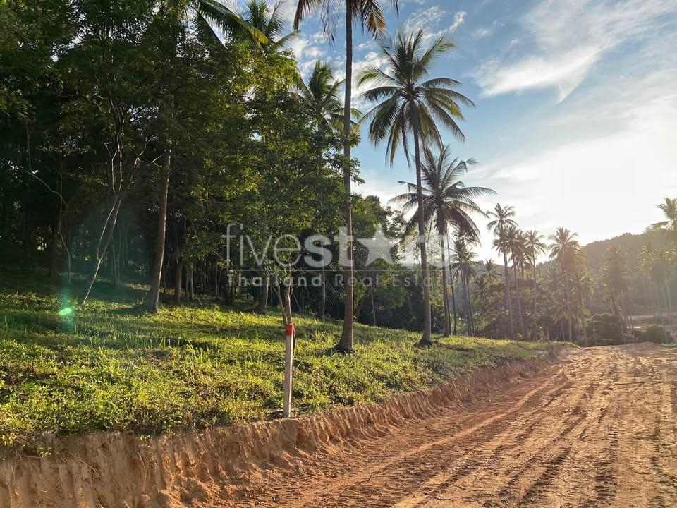 Land for sale Bangpor soi.1 (1,600 sqm) 700 M. from the beach 1675954848