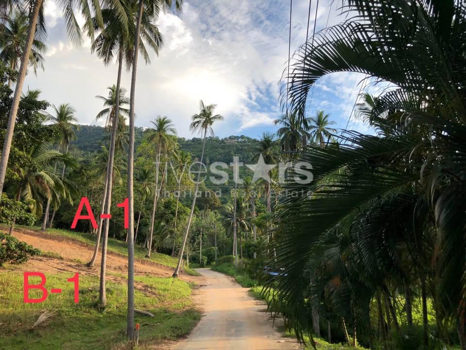Land for sale Bangpor soi.1 (1,600 sqm) 700 M. from the beach 1675954848