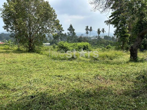 Land for Sale – 1,464 sqm in Chaweng, Koh Samui 2897673372