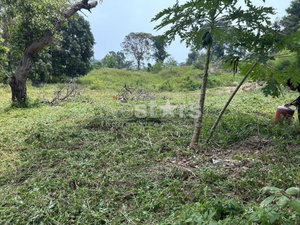 Land for Sale – 1,464 sqm in Chaweng, Koh Samui 2897673372