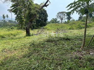 Land for Sale – 1,464 sqm in Chaweng, Koh Samui 2897673372