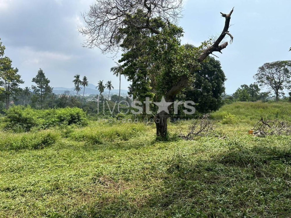 Land for Sale – 1,464 sqm in Chaweng, Koh Samui 2897673372