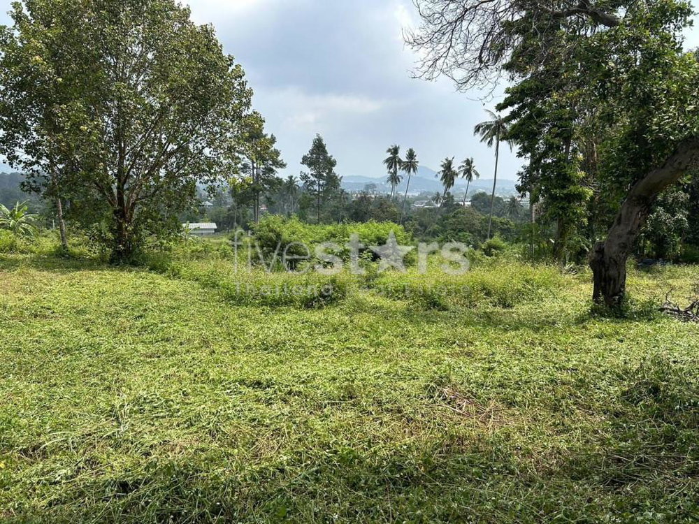 Land for Sale – 1,464 sqm in Chaweng, Koh Samui 2897673372