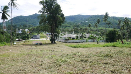 Flat Land for Sale in Thongkrut – 6,356 SQM (3-3-89 sqw.) 2659229214