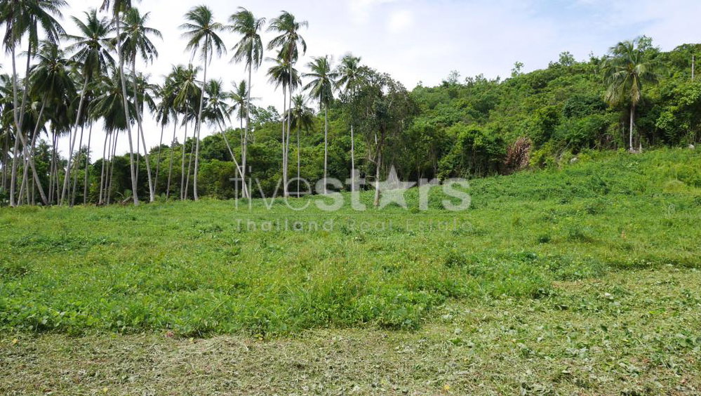 Flat Land for Sale in Thongkrut – 6,356 SQM (3-3-89 sqw.) 2659229214