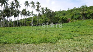 Flat Land for Sale in Thongkrut – 6,356 SQM (3-3-89 sqw.) 2659229214