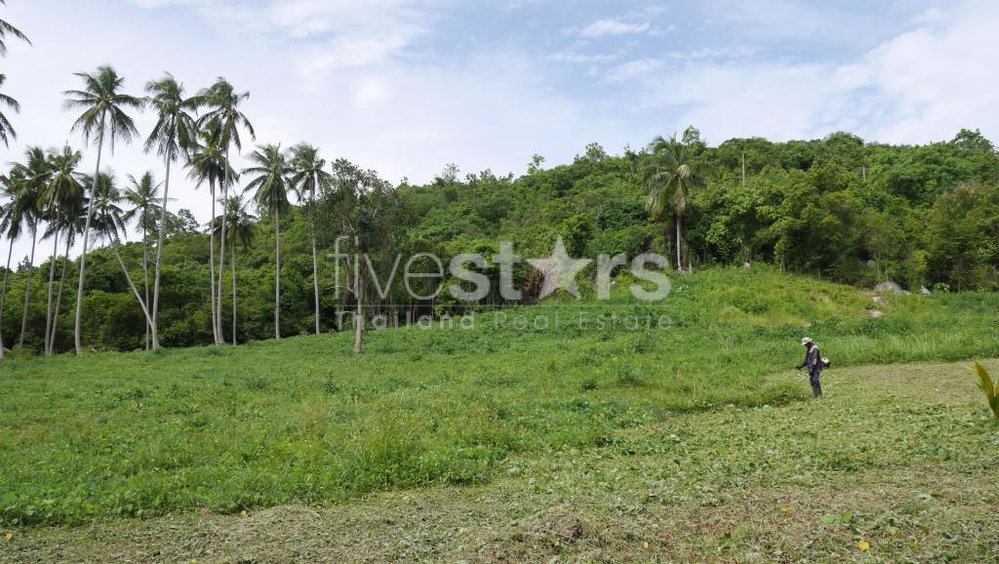 Flat Land for Sale in Thongkrut – 6,356 SQM (3-3-89 sqw.) 2659229214