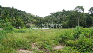 Flat Land for Sale in Taling Ngam – 3,200 SQM (Approx. 2 Rai) 3917983368
