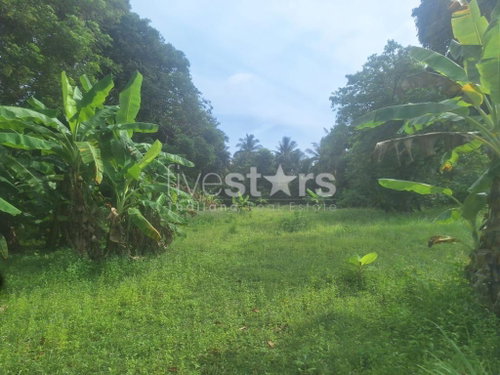 Flat Land for Sale in Leamsor – 4,116 sqm | 1.6 km from the Beach 1771425395