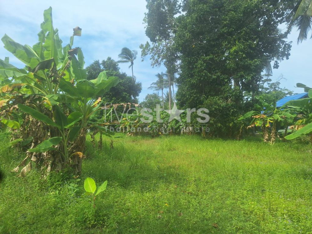 Flat Land for Sale in Leamsor – 4,116 sqm | 1.6 km from the Beach 1771425395