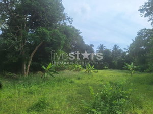 Flat Land for Sale in Leamsor – 4,116 sqm | 1.6 km from the Beach 1771425395