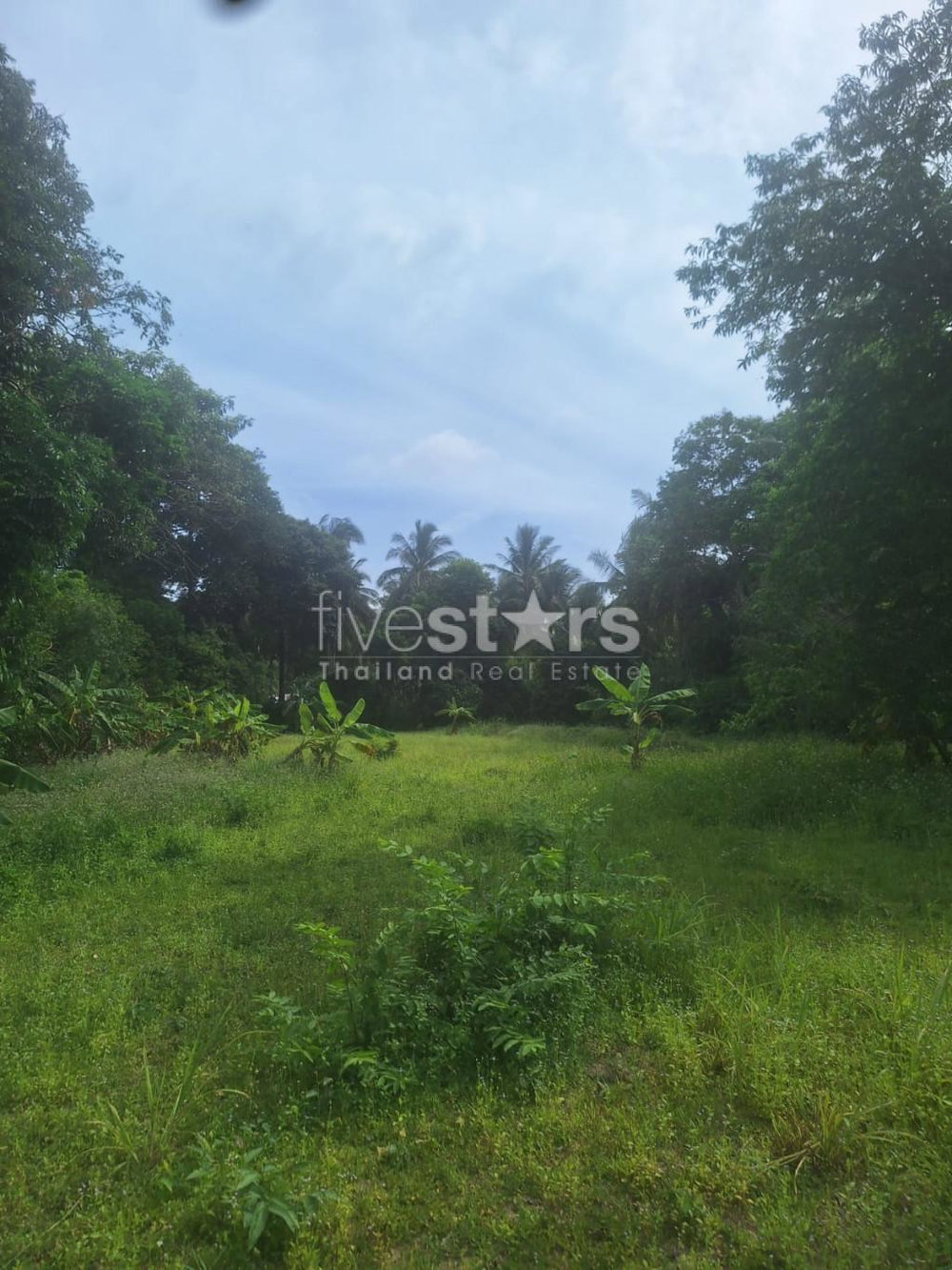 Flat Land for Sale in Leamsor – 4,116 sqm | 1.6 km from the Beach 1771425395