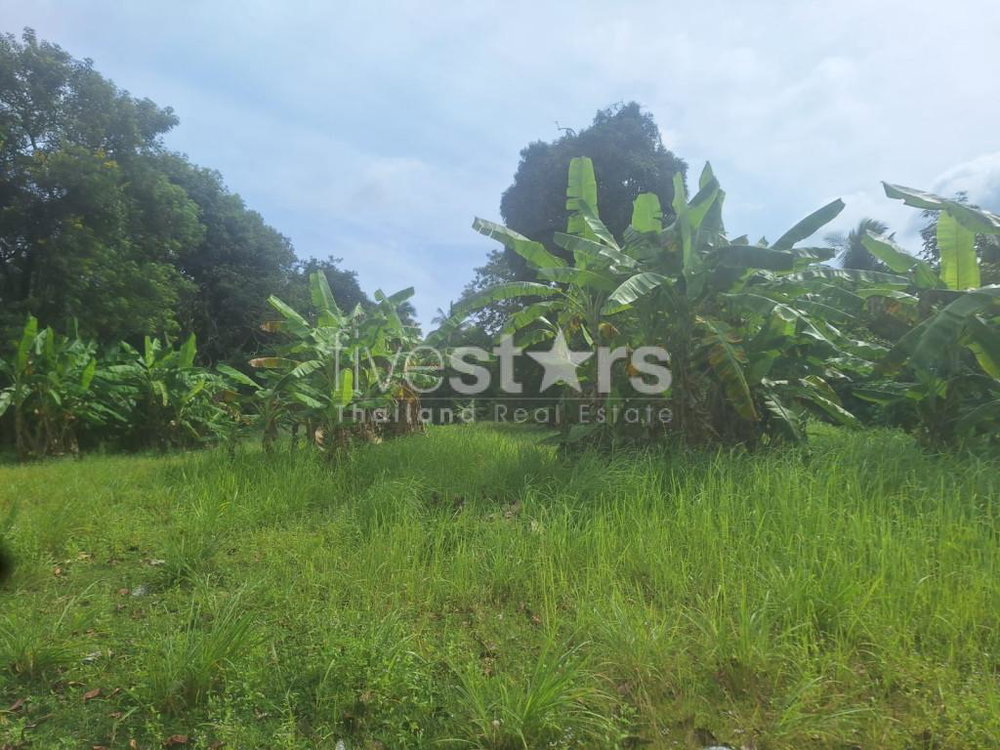 Flat Land for Sale in Leamsor – 4,116 sqm | 1.6 km from the Beach 1771425395