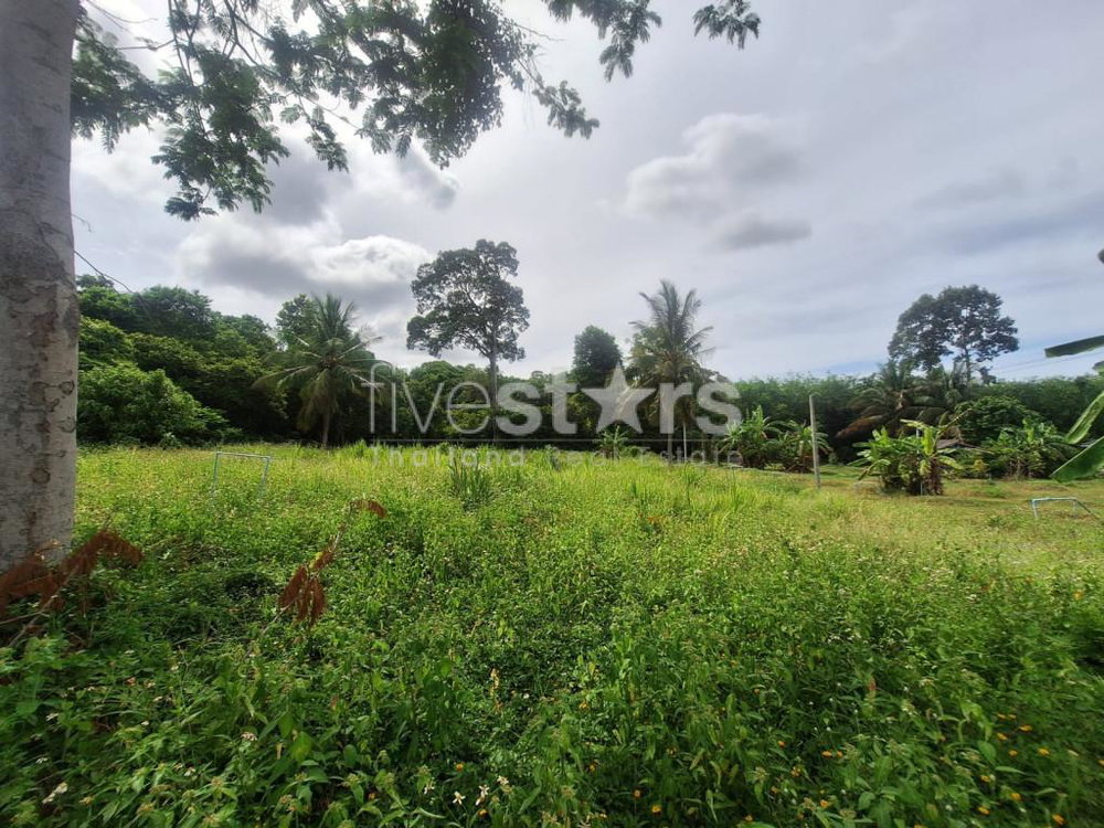 Land for Sale – 2,644 SQM in Tranquil Bang Kao, Koh Samui 512949989