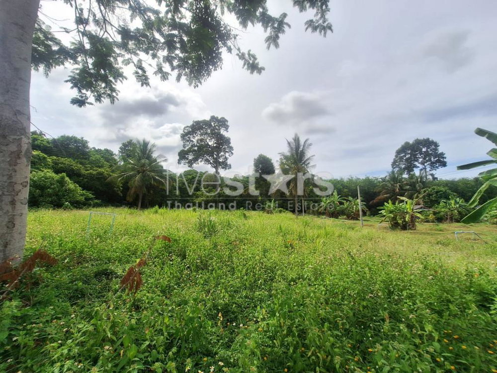 Land for Sale – 2,644 SQM in Tranquil Bang Kao, Koh Samui 512949989