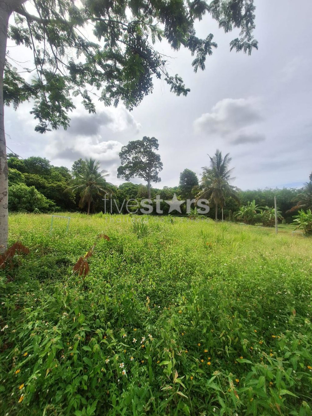 Land for Sale – 2,644 SQM in Tranquil Bang Kao, Koh Samui 512949989