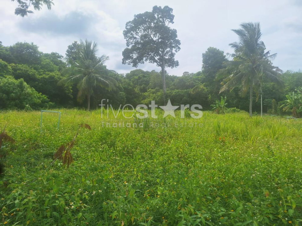 Land for Sale – 2,644 SQM in Tranquil Bang Kao, Koh Samui 512949989