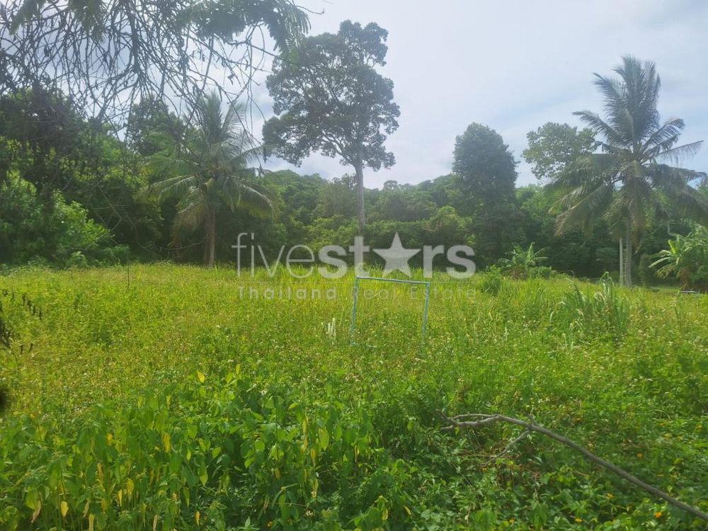 Land for Sale – 2,644 SQM in Tranquil Bang Kao, Koh Samui 512949989