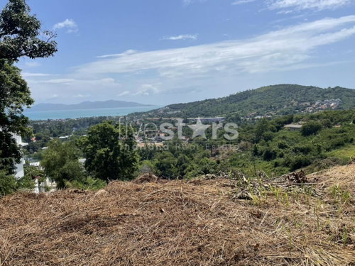 Sea View Land for Sale – Bophut, Koh Samui 1,532 sqm. 4271943638